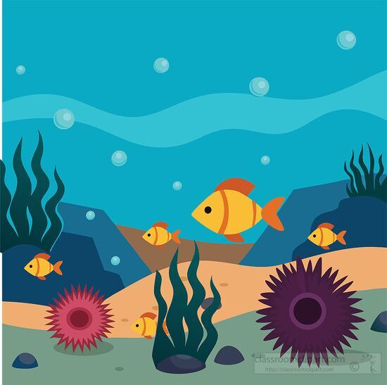 Fish explore the underwater world among sea plants and urchin