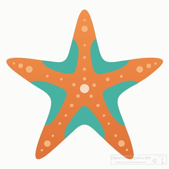 flat illustration of a colorful orange starfish with teal