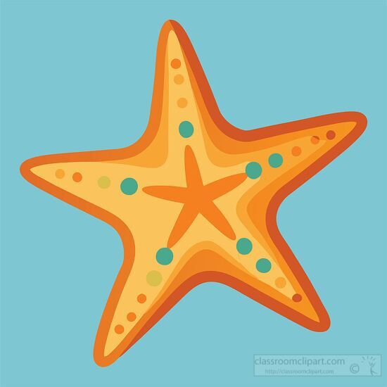 flat shaped five armed starfish