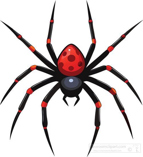 flat vector design of a black spider with red markings