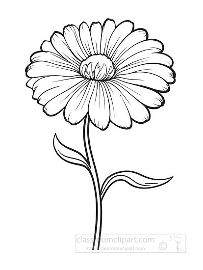 flowerblack outline coloring printable clipart