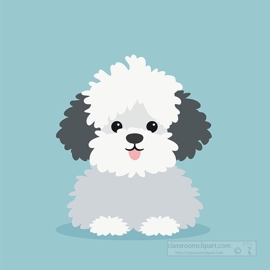 fluffy white happy bichon frise