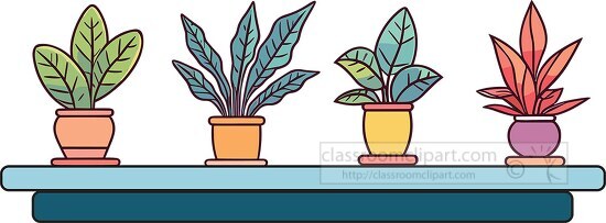 four house plants on a shelf