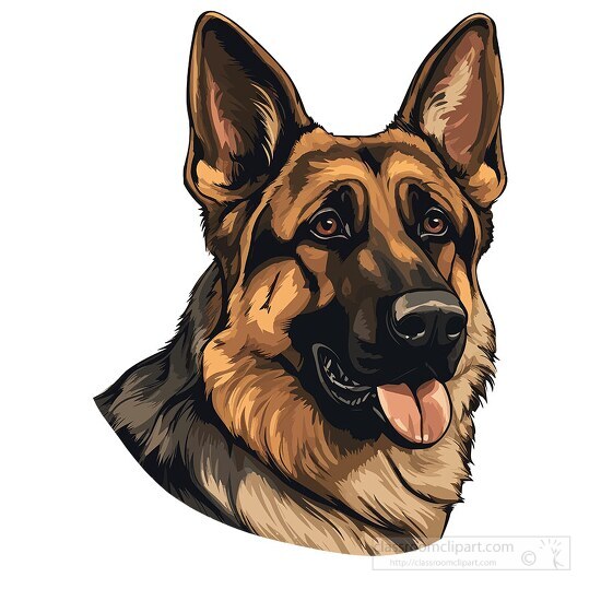 german shepherd dog closeup of face clip art