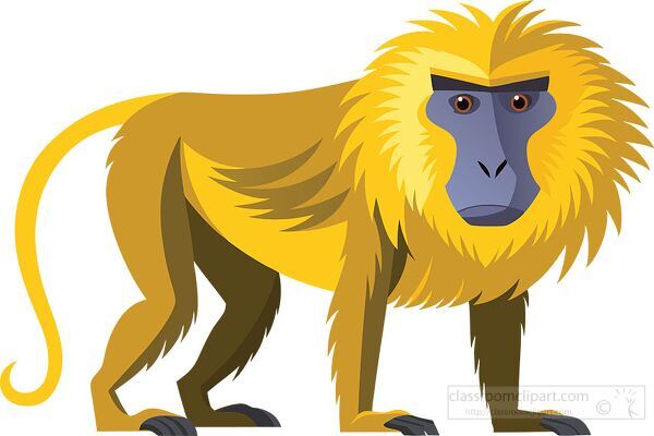 golden maned macaque with a long tail