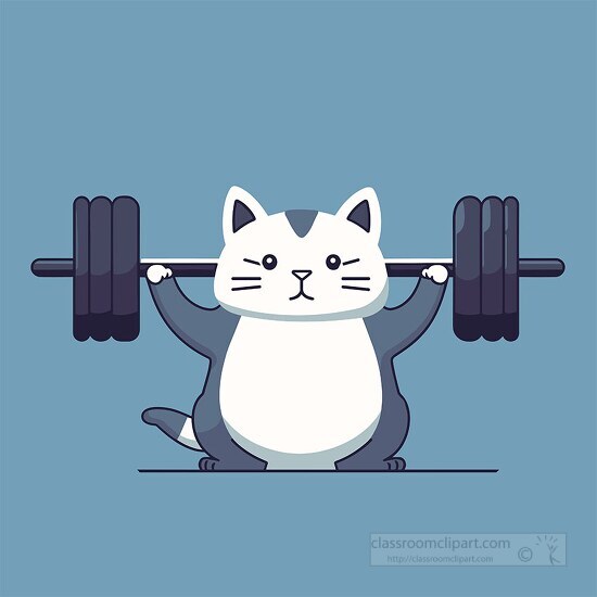 gray and white weightlifting cat