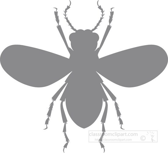 gray silhouette flying winged insect clip art