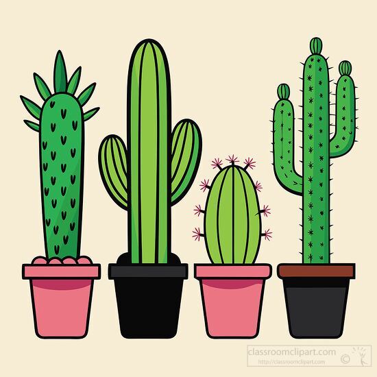 group of four tall succulent cacti in individual colorful pots clipart