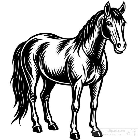 Horse sketch in a standing position