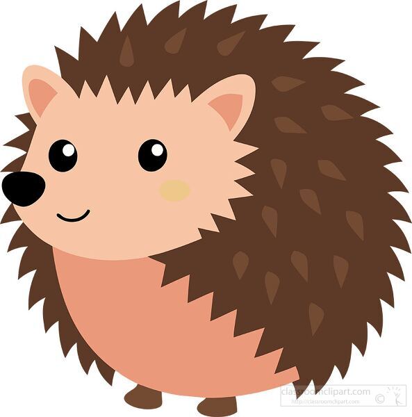 hubby hedgehog with rounded quills and a friendly face