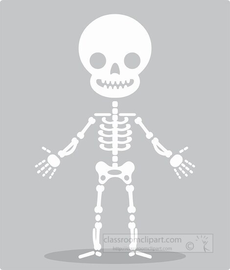 human anatony skeleton system cartoon style gray color clip art