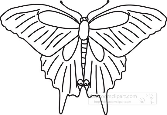 insect black outline clipart 11