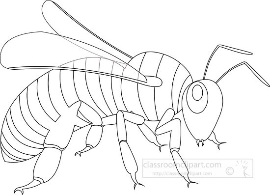 insect black outline clipart 12