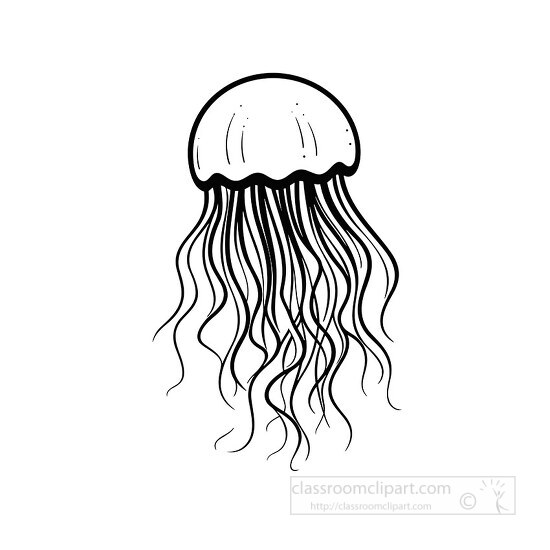 jellyfish black outline printable clip art