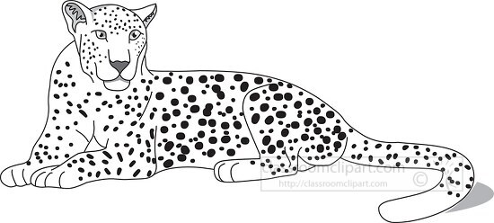 leopard black outline clipart 34