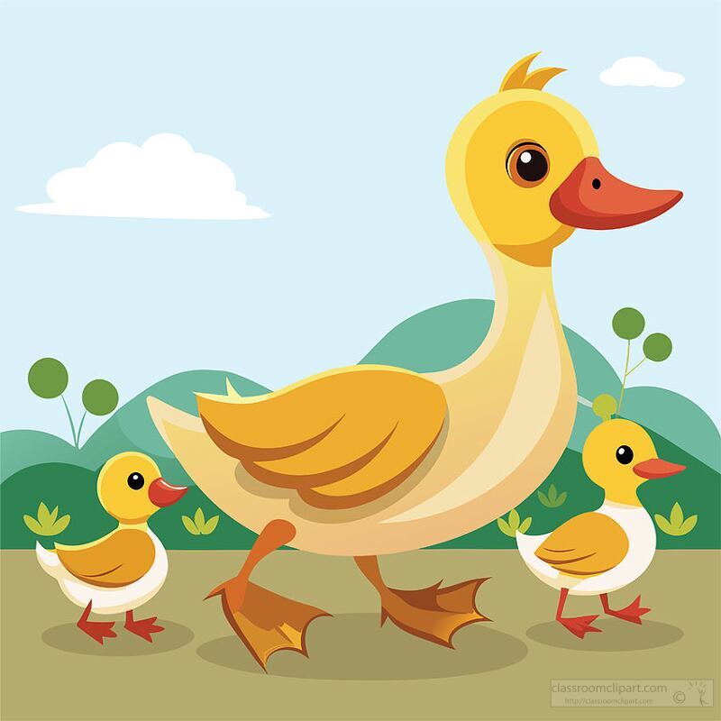 mother duck proudly walks with her four ducklings