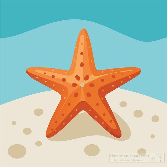 orange starfish resting on sandy ground in the ocean