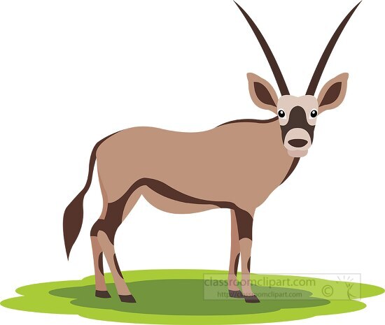 oryx standing on a green fie