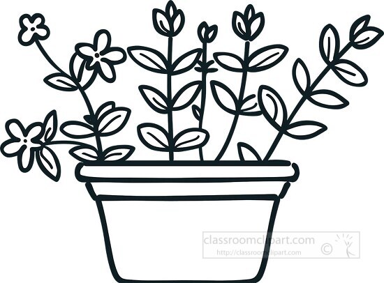 outline of a potted plant with several