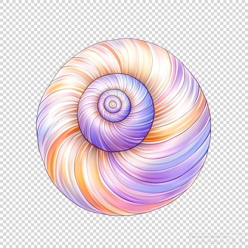 Periwinkle Seashell Displaying Vibrant Swirl Patterns