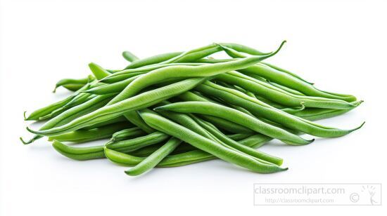 collection of crisp green beans with a smooth surface