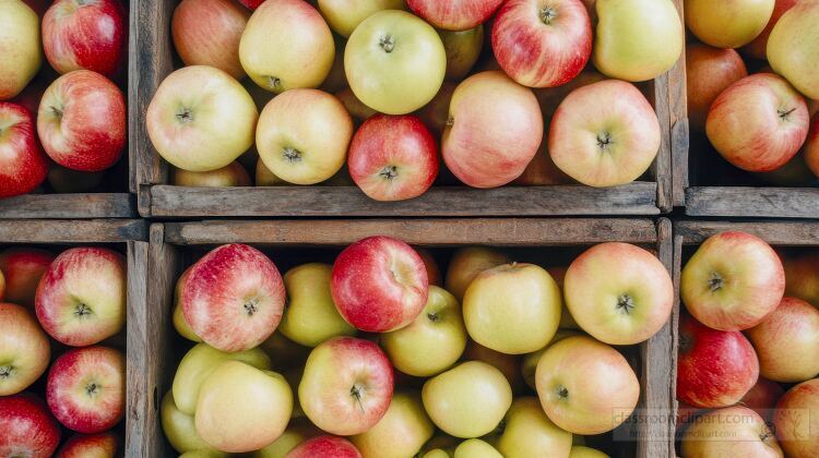 collection of ripe apples piled in a rustic wooden crates