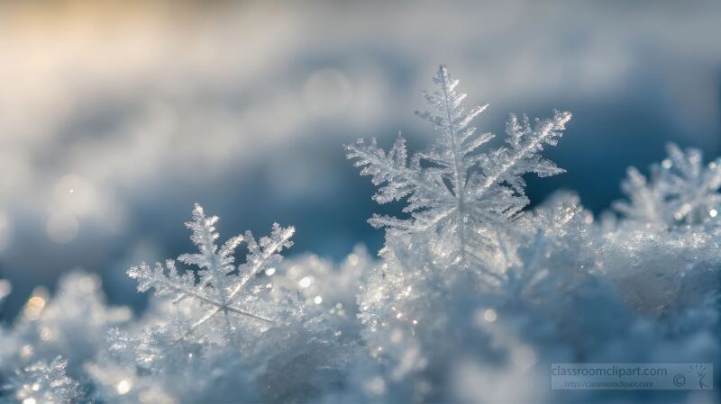 Delicate Snowflakes Resting on a Winter Landscape