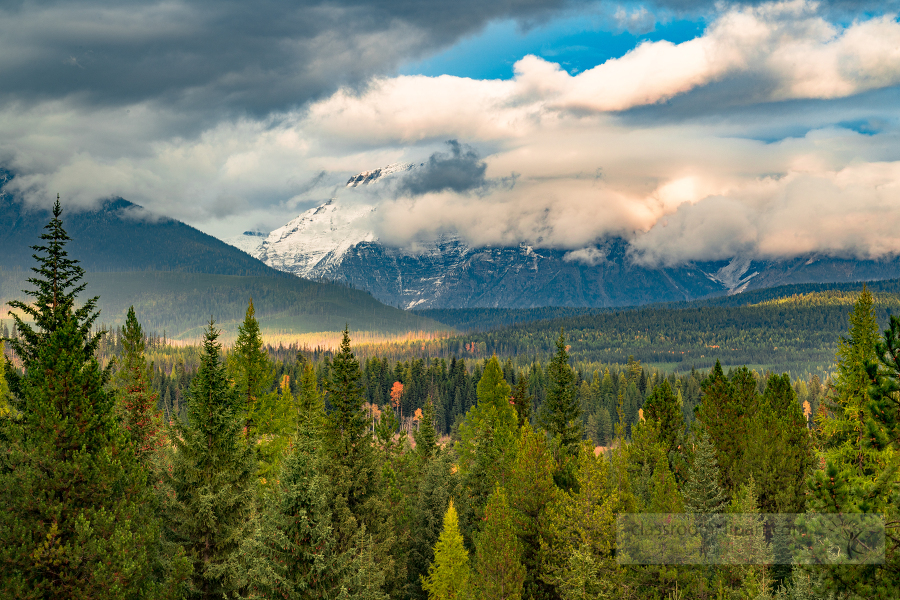 flathead National Forest in Montana