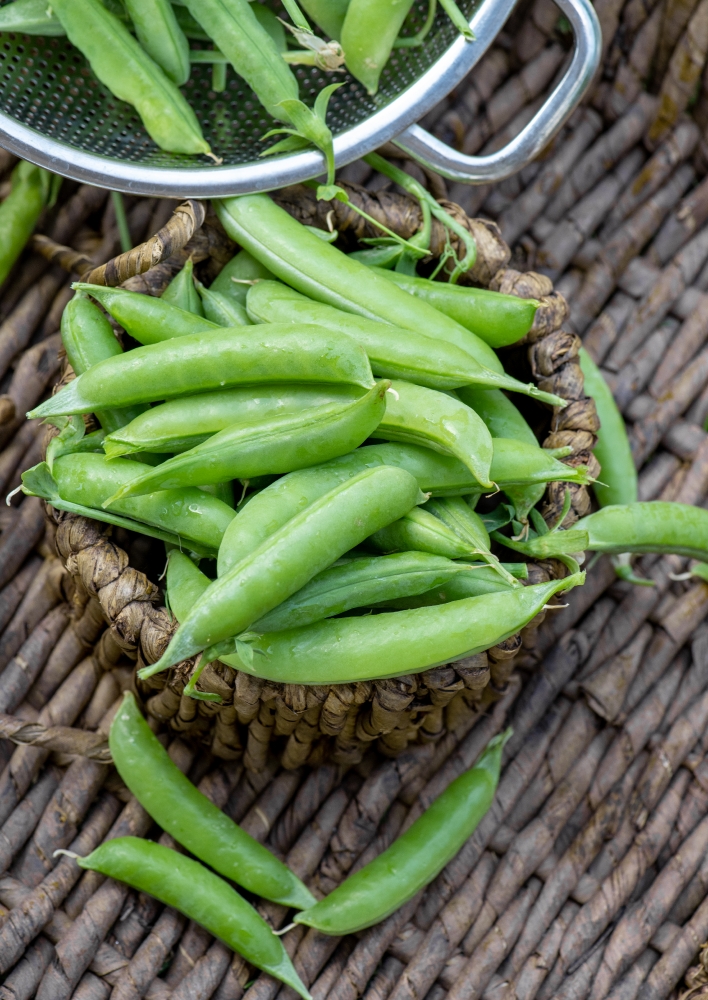 fresh pea pods in basket 0311