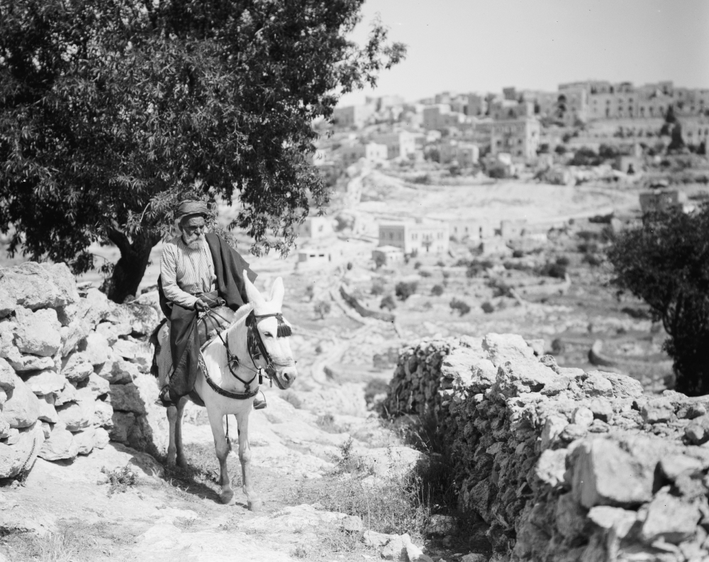 man riding his donkey