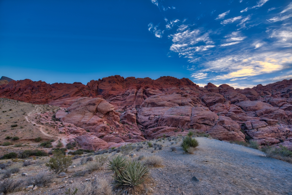 red rock canyon mojave desert nevada