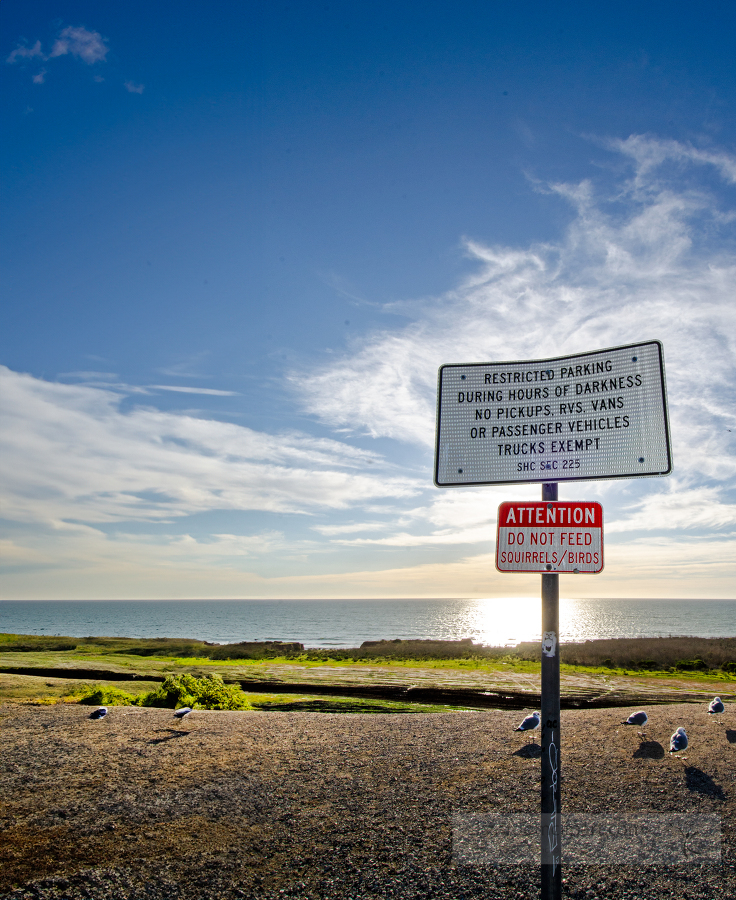 restricted-parking-do-no-feed-birds