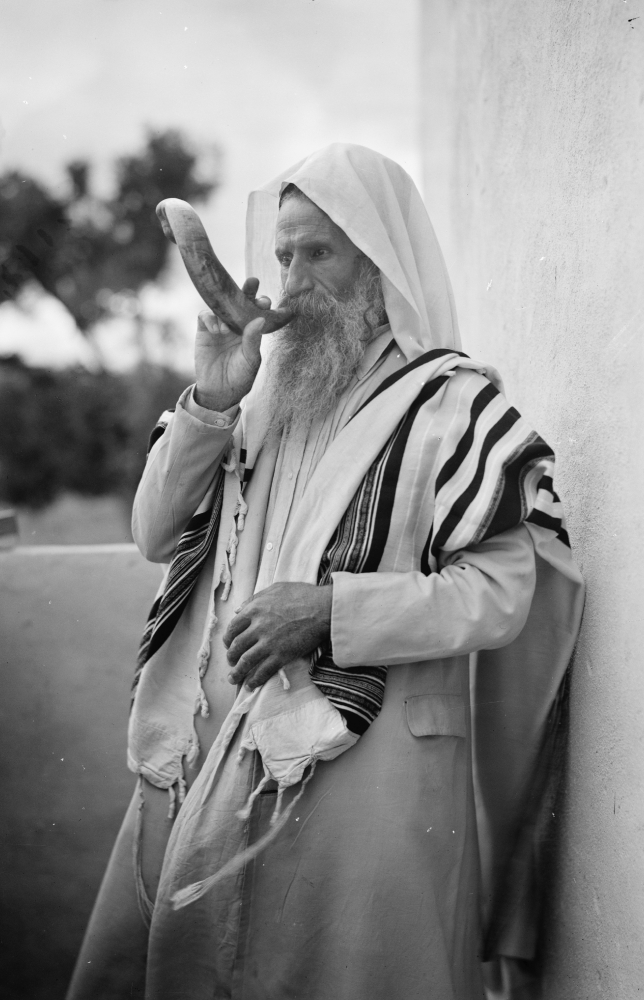 Shofar Sabbath Horn Yemenite Jew