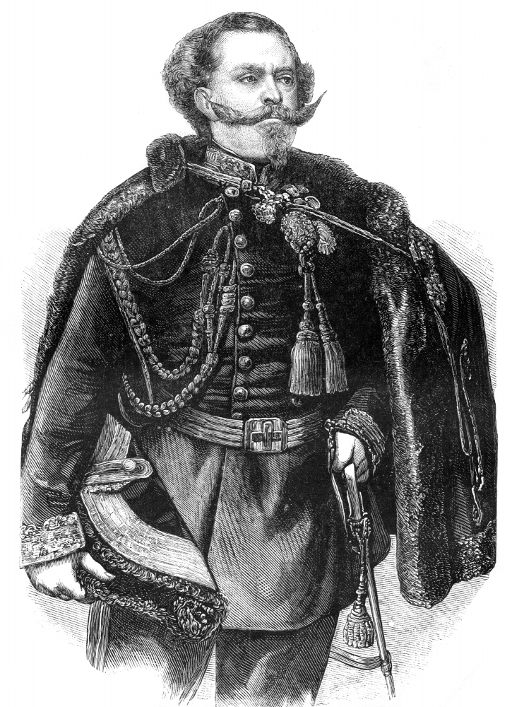 victor emmanuel II historical illustration