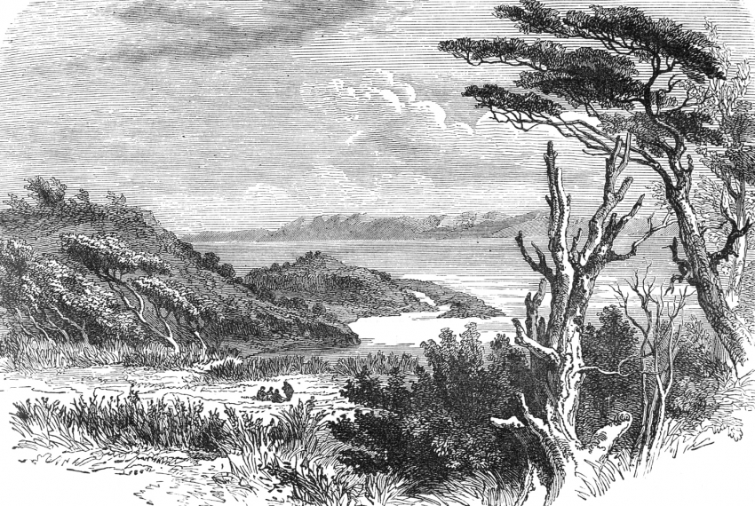 View near Fort Famine Brunswick Peninsula