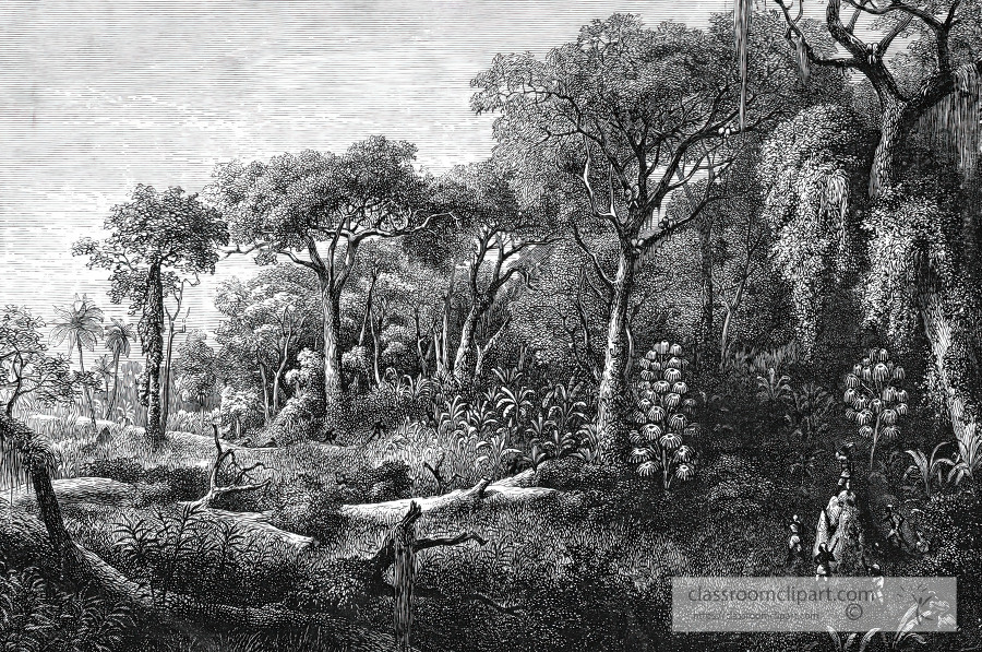 view of a valley in africa historical illustration africa