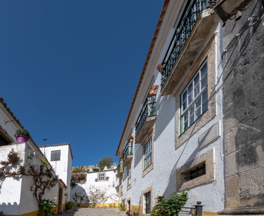 vines on exterior white washed walls home obidos portugal