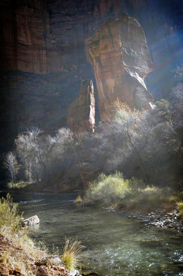 zion national park 902b