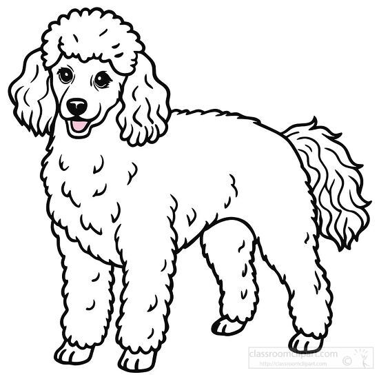 poodle with fluffy fur black outline