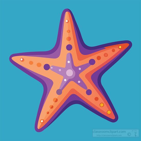 purple and orange starfish