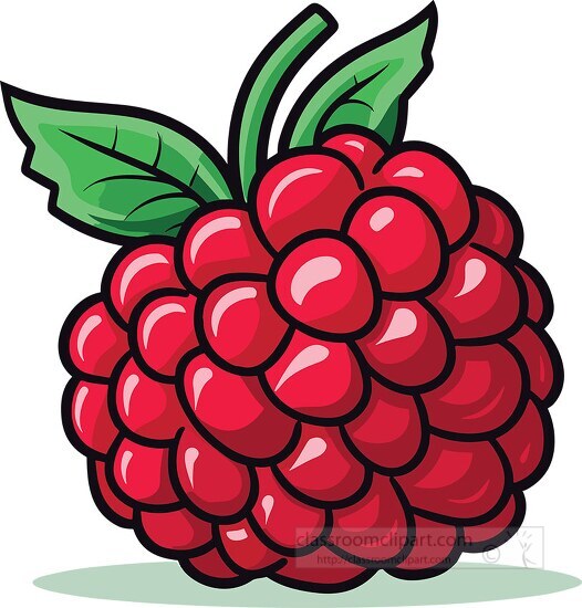 raspberry with small drupelets leaf stem clip art