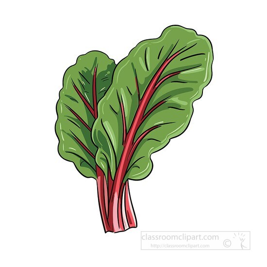 red veined swiss chard clip art