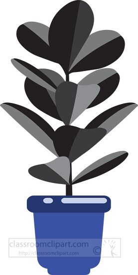 rubber tree house plant gray purple color clip art