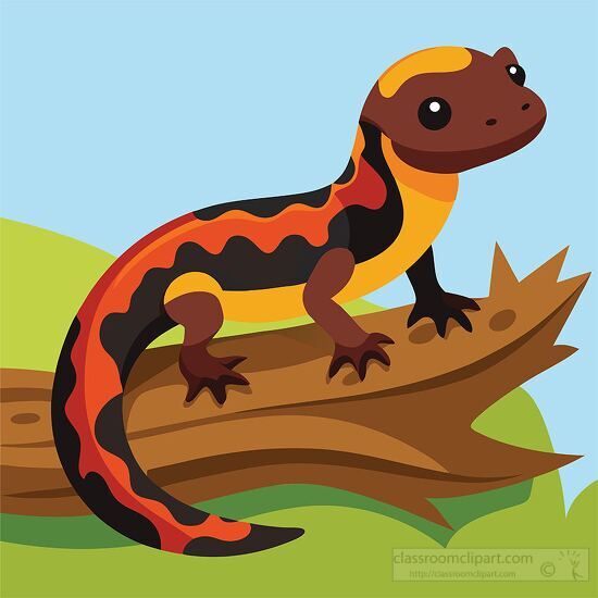 salamander is seen resting on a brown log