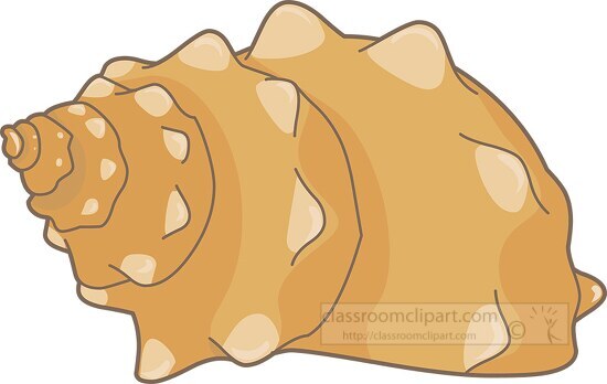 sea shells clipart 09