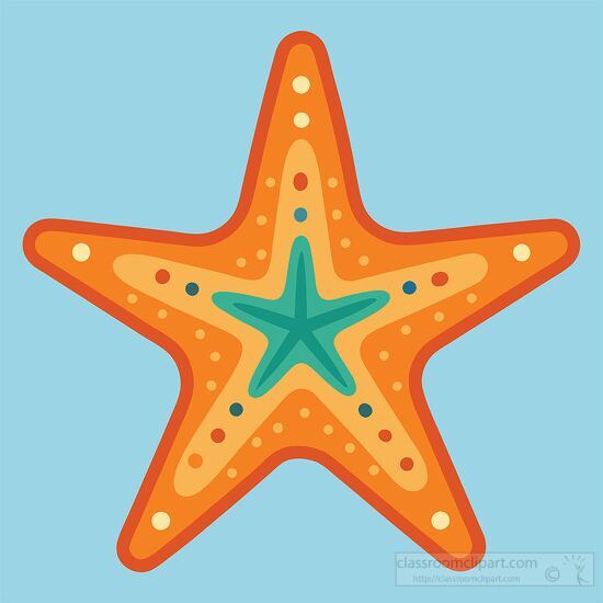 sea star vector shows rays with tube feet