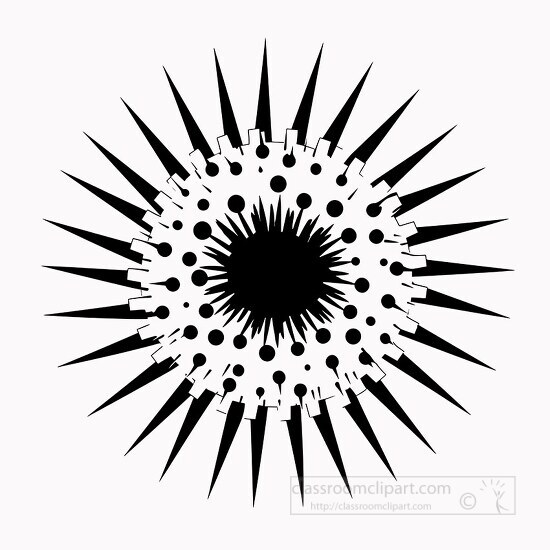 sea urchin black outline clip art