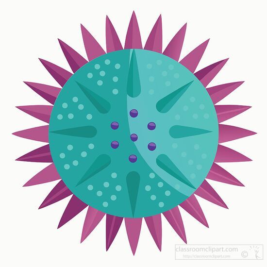 sea urchin in pink and blue colors