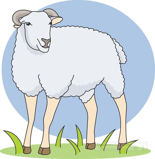 sheep standing on grass clip art