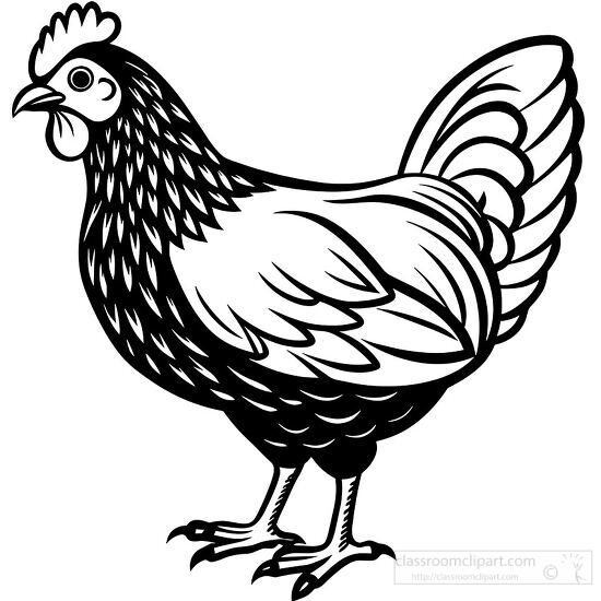 silhouette illustration of a chicken on a farm